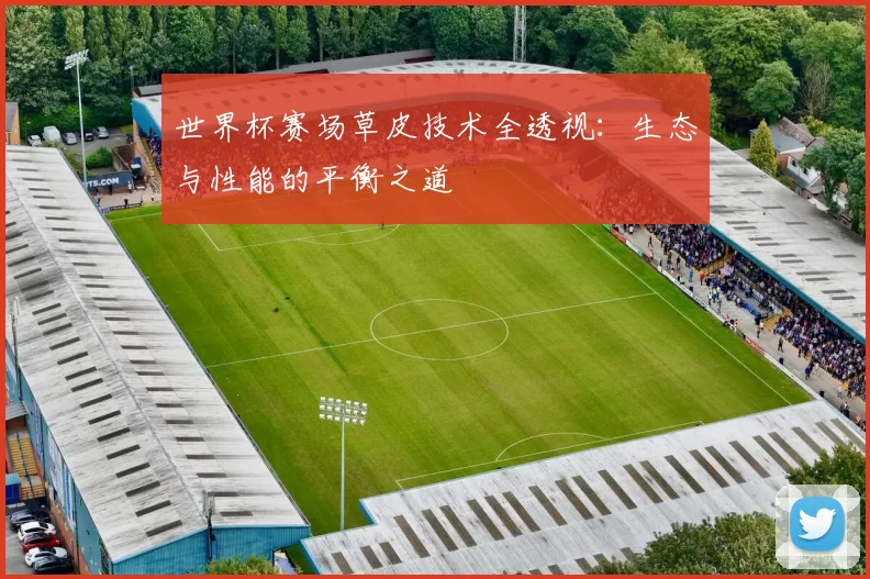 世界杯赛场草皮技术全透视：生态与性能的平衡之道