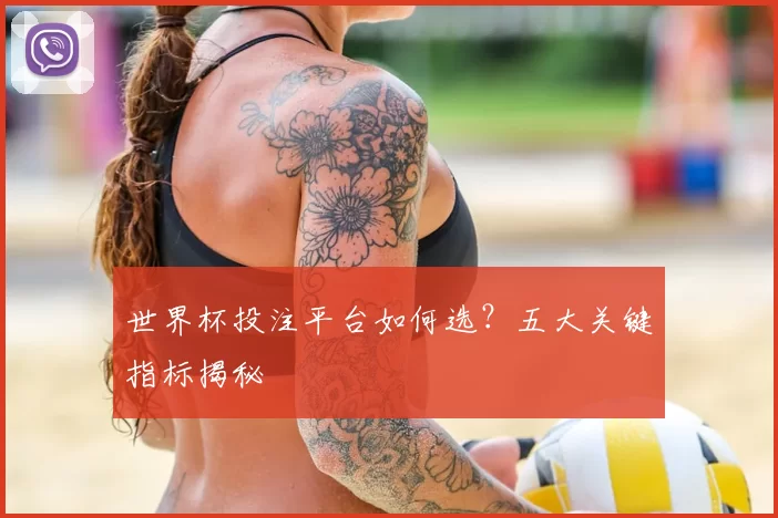 世界杯投注平台如何选?五大关键指标揭秘
