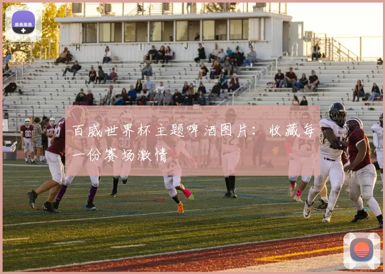 百威世界杯主题啤酒图片:收藏每一份赛场激情