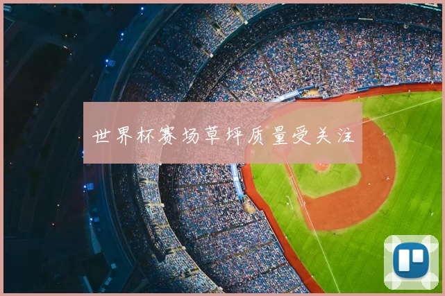 世界杯赛场草坪质量受关注