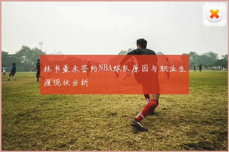 林书豪未签约NBA球队原因与职业生涯现状分析