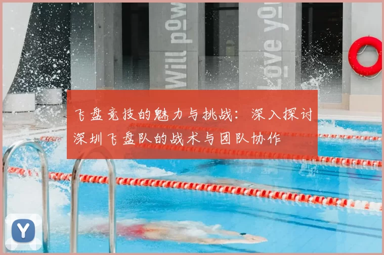 飞盘竞技的魅力与挑战：深入探讨深圳飞盘队的战术与团队协作