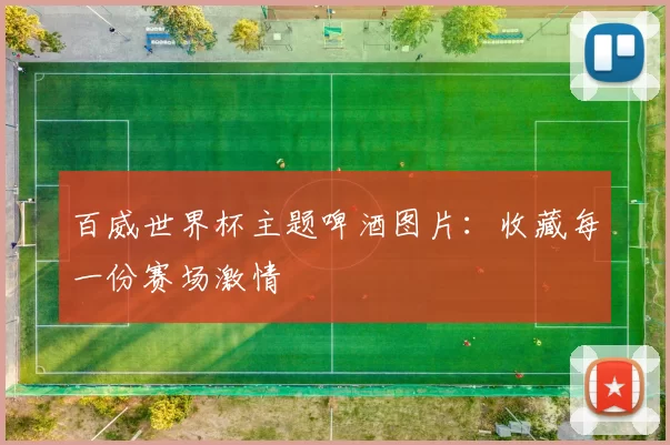 百威世界杯主题啤酒图片:收藏每一份赛场激情