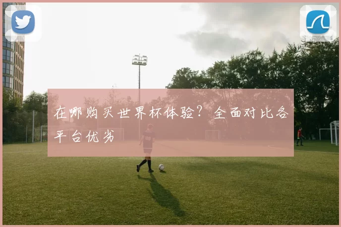 在哪购买世界杯体验?全面对比各平台优劣