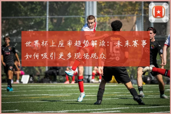 世界杯上座率趋势解读:未来赛事如何吸引更多现场观众