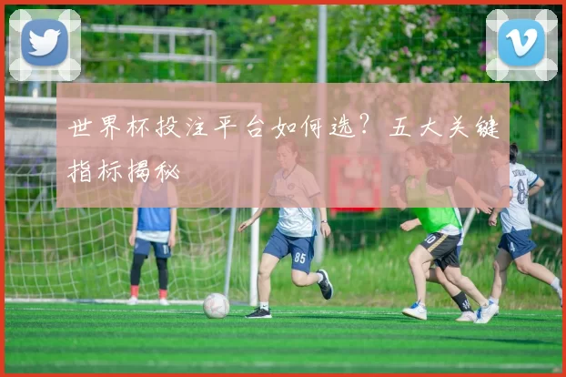 世界杯投注平台如何选？五大关键指标揭秘