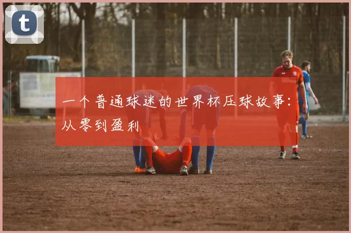 一个普通球迷的世界杯压球故事：从零到盈利