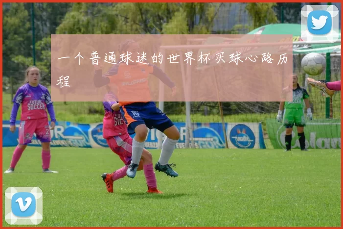 一个普通球迷的世界杯买球心路历程