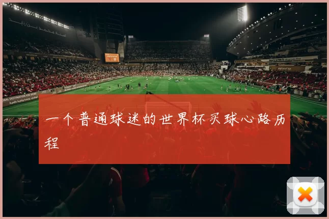一个普通球迷的世界杯买球心路历程