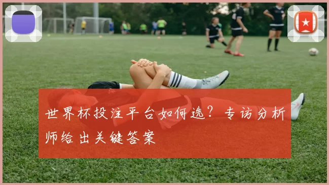 世界杯投注平台如何选？专访分析师给出关键答案