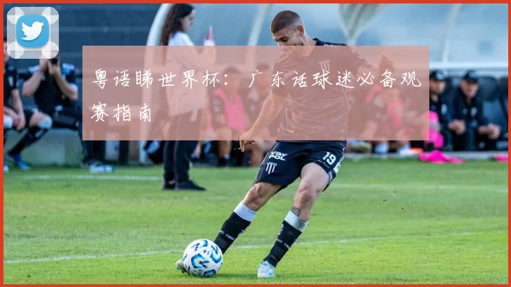 粤语睇世界杯：广东话球迷必备观赛指南