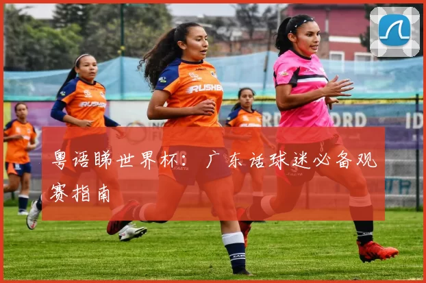 粤语睇世界杯：广东话球迷必备观赛指南